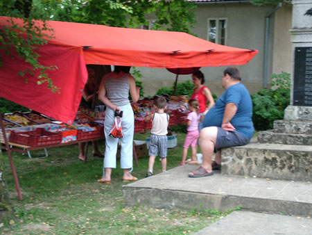DSCF2312