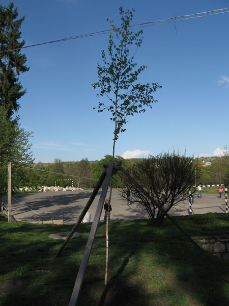 foldnapja2008_23