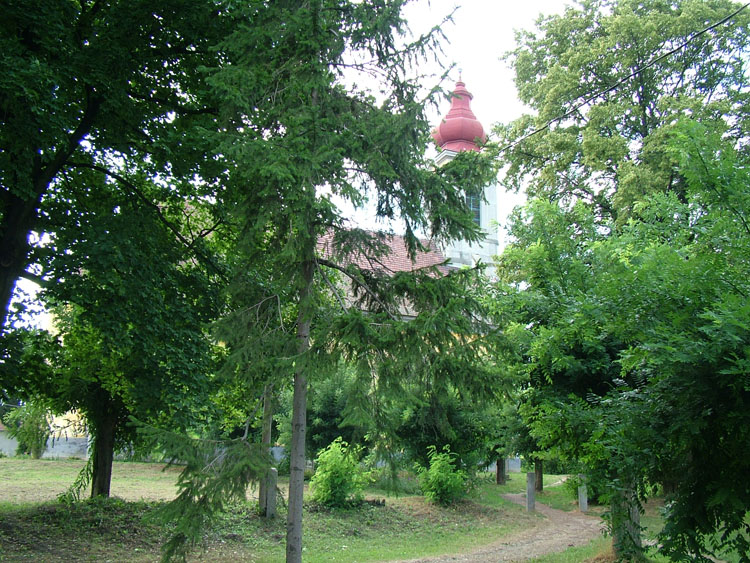 DSCF5676