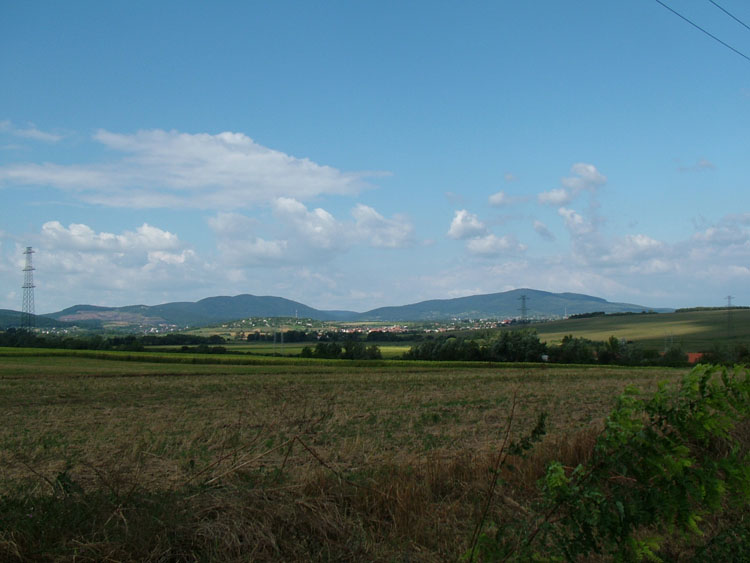 DSCF5679