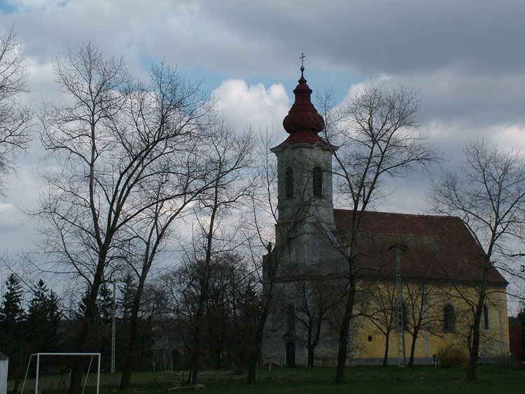 DSCF8523