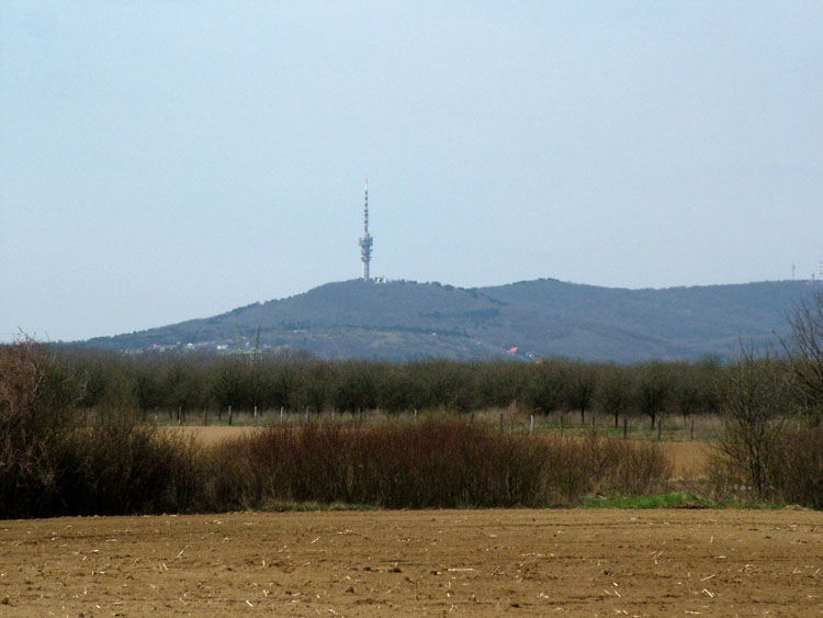 DSCF8916