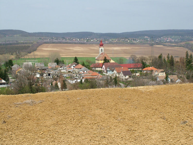 DSCF8923