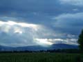 DSCF5053